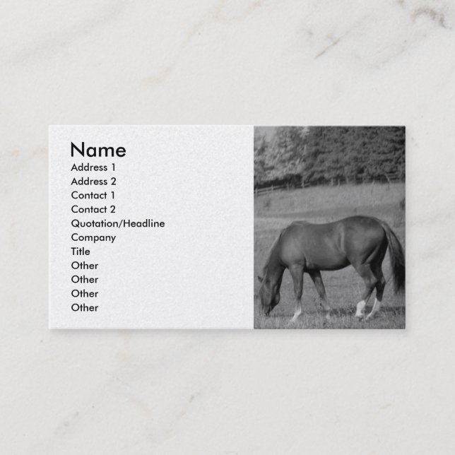 Beautiful Horse Business Card (Front)