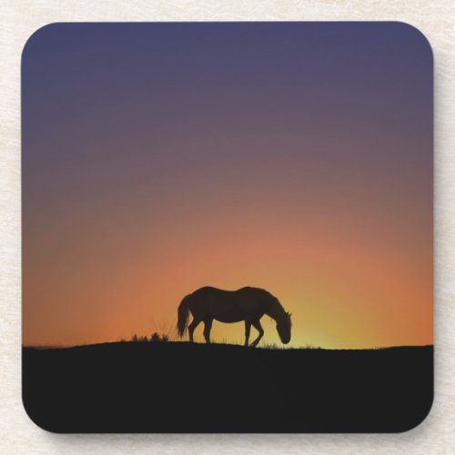 Beautiful Horse Coasters