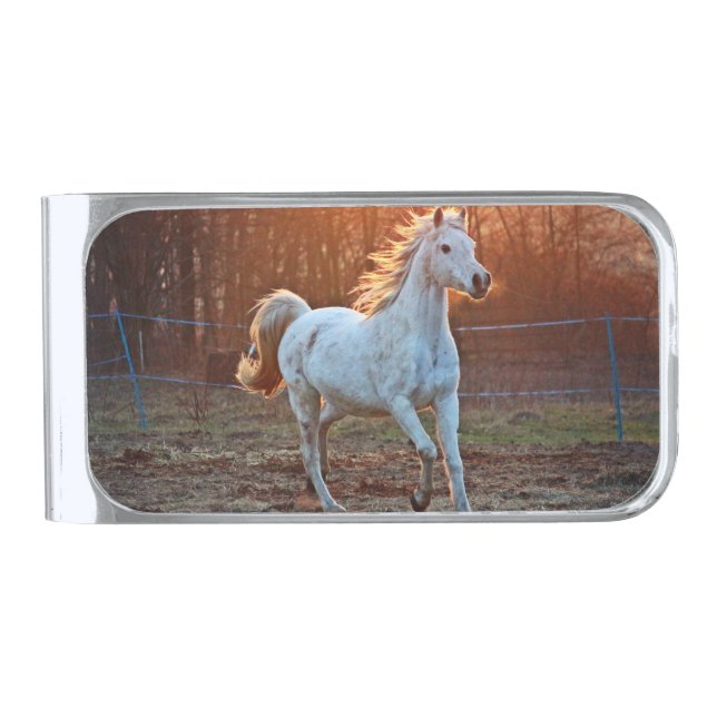 Beautiful Horse Equestrian Animal Design Silver Finish Money Clip (Front)