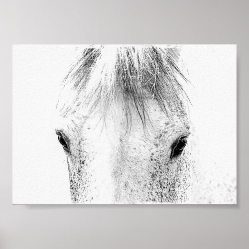 Beautiful Horse Eyes Black and White Archival Poster