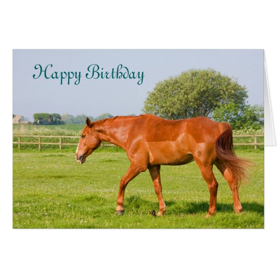 Beautiful horse happy birthday greetings card | Zazzle