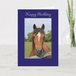 Beautiful horse happy birthday greetings card