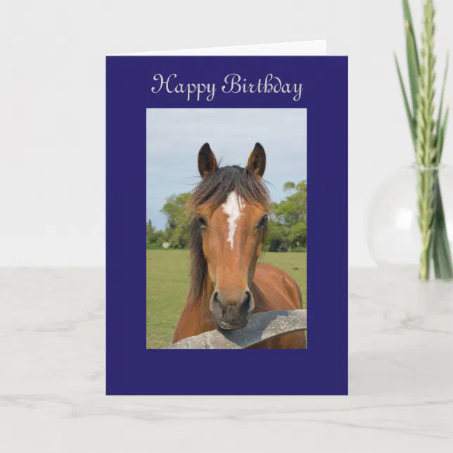 Beautiful horse happy birthday greetings card | Zazzle