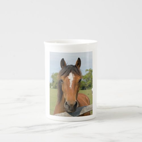 Beautiful horse head chestnut photo bone china mug