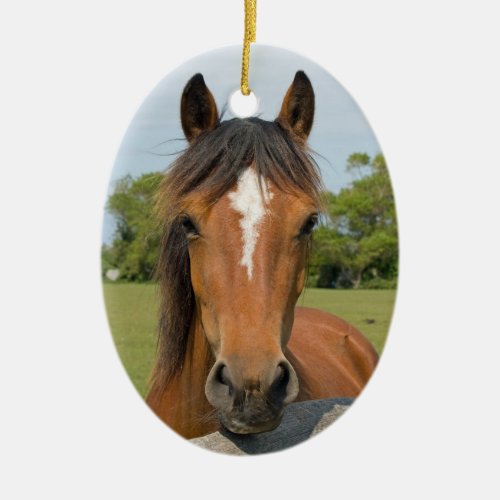 Beautiful horse head chestnut photo ornament