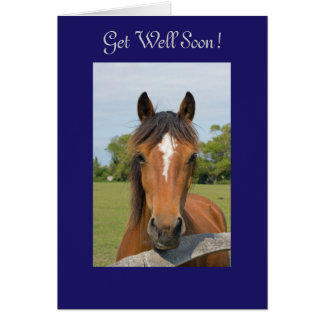 Get Well Soon Horse Cards | Zazzle