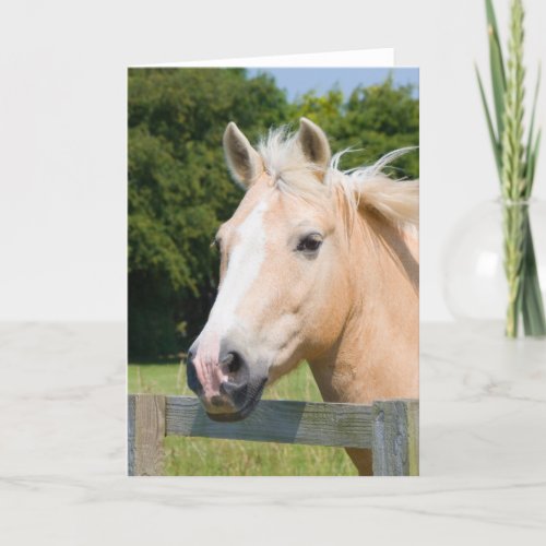 Beautiful horse head palamino blank greetings card