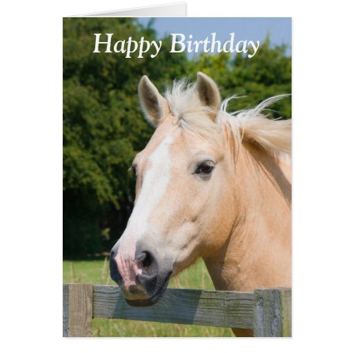 Beautiful horse head palamino happy birthday card | Zazzle