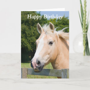 Beautiful horse head palamino happy birthday card
