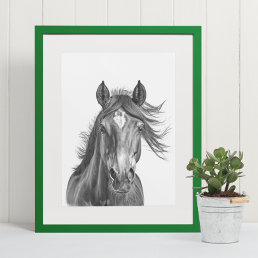 Beautiful Horse Head Portrait  Black white    Poster