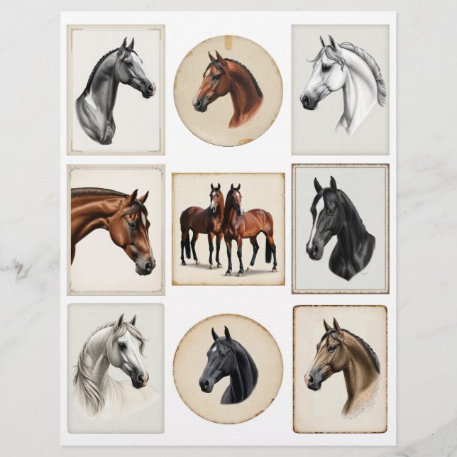 Beautiful Horse Illustrations for Papercrafting (Front)