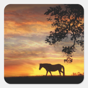 Beautiful Horse in a Fiery Sunset Stickers! Square Sticker