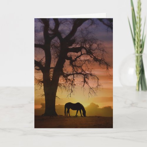 Beautiful Horse in Southwestern Sunset Birthday Card