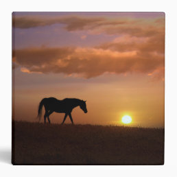 Beautiful Horse in Sunset 3 Ring Binder Notebook