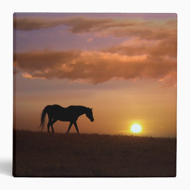Beautiful Horse in Sunset 3 Ring Binder Notebook (Front)