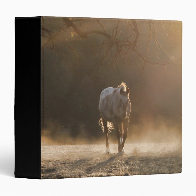Beautiful Horse in the Golden Sunlight Binder (Front/Spine)