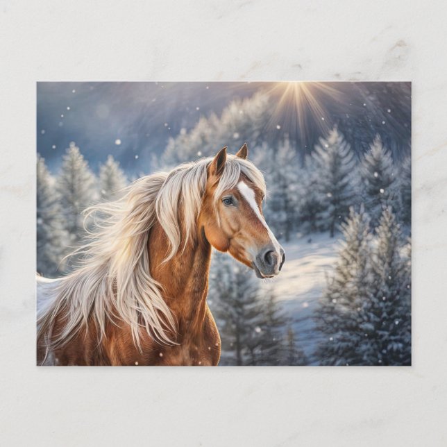 Beautiful Horse in the Snow Christmas Postcard (Front)