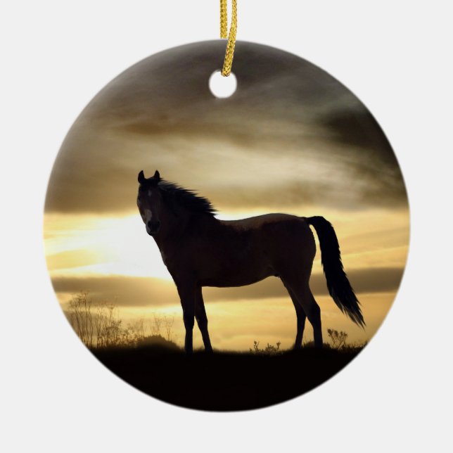 Beautiful Horse in the Sunlight Ornament (Front)