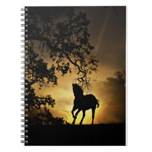 Beautiful Horse in the Sunset Notebook