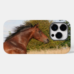 Beautiful Horse iPhone / iPad case