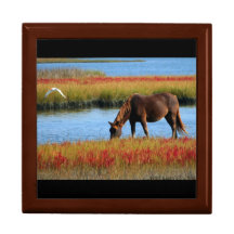 Beautiful Horse Jewelry Keepsake Box