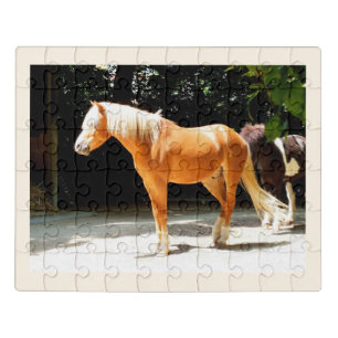 Beautiful horse jigsaw puzzle