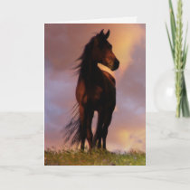 Beautiful Horse Lover Birthday Card