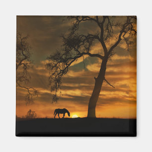 Beautiful Horse Magnet