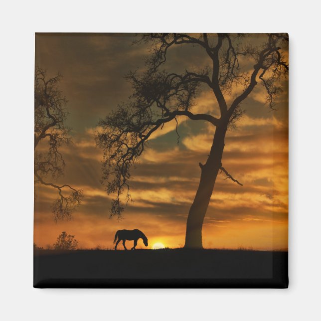 Beautiful Horse Magnet (Front)