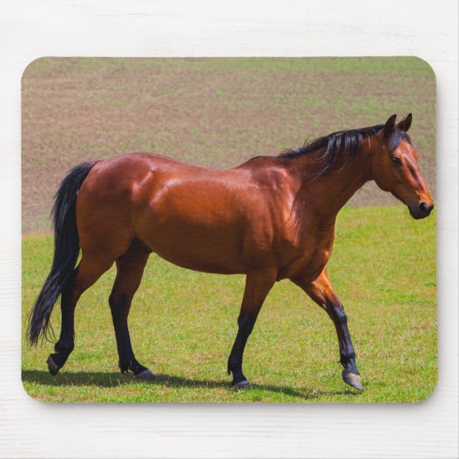 Beautiful Horse Mouse Mat (Front)
