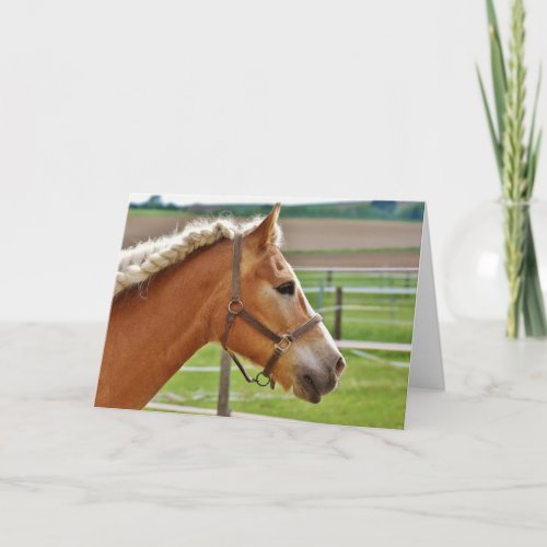 Beautiful Horse Note Card