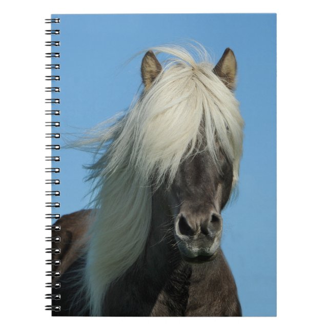 Beautiful Horse Notebook (Front)