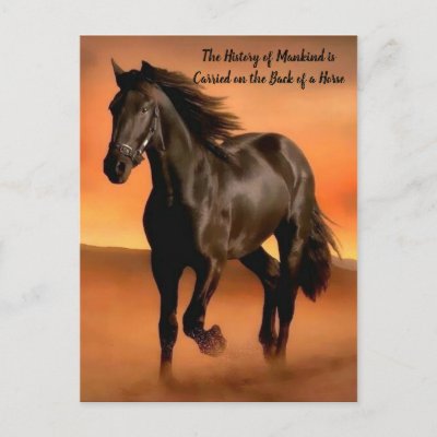 Beautiful Horse On Orange Sunrise Postcard