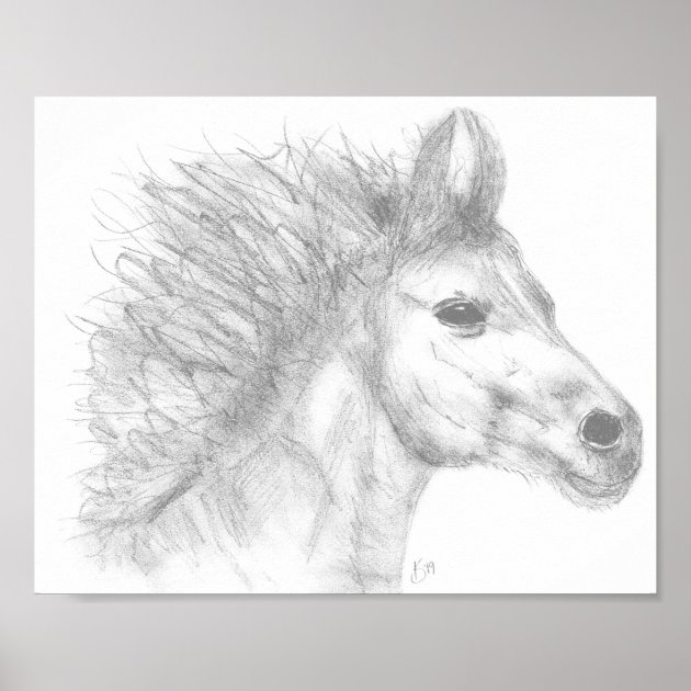Horse drawings, Horse head drawing, Horse pencil drawing