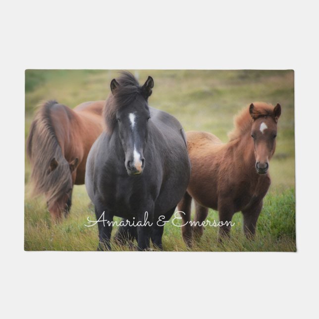 Beautiful Horse Personalized Doormat (Front)