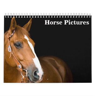 Beautiful Horse Pictures Images 2026 Calendar