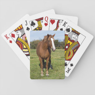 Beautiful Horse Playing Cards