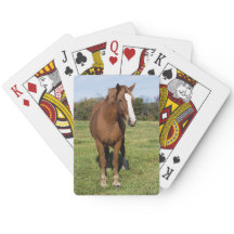 Beautiful Horse