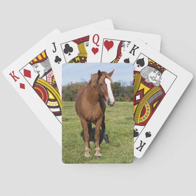 Beautiful Horse Poker Cards (Back)