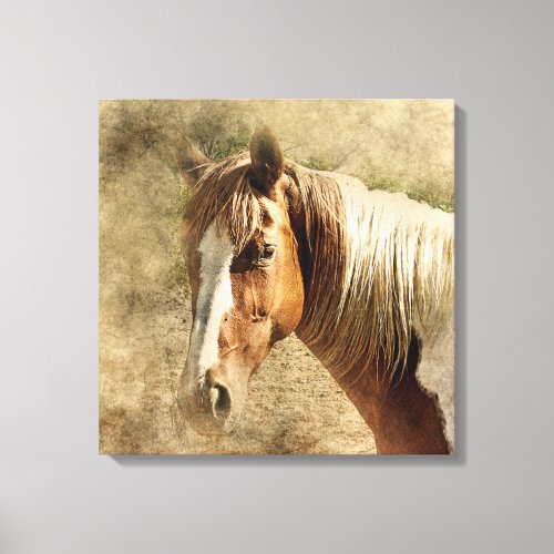 BEAUTIFUL HORSE PORTRAIT  TAN AND WHITE HORSE CANVAS PRINT