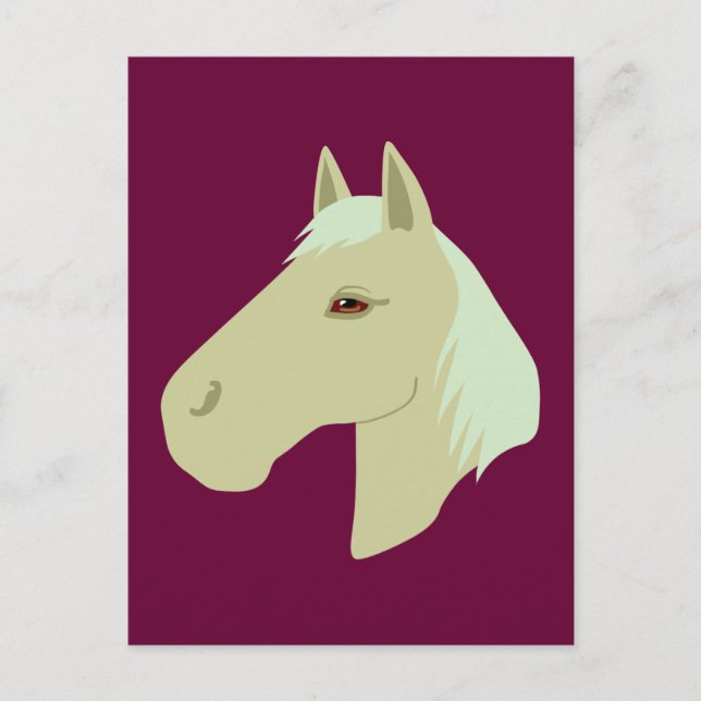Beautiful Horse Postcard (Front)