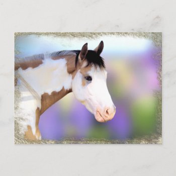 Beautiful Horse Postcards by WalnutCreekAlpacas at Zazzle