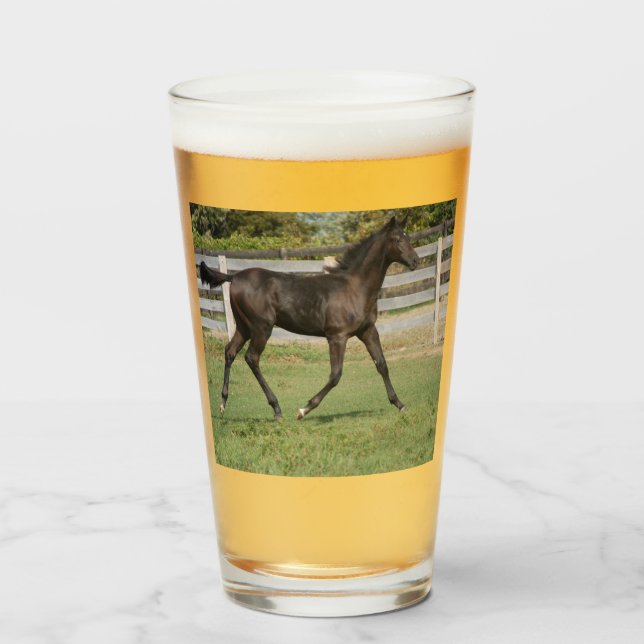 Beautiful Horse Prancing in a Field Glass (Front Filled)
