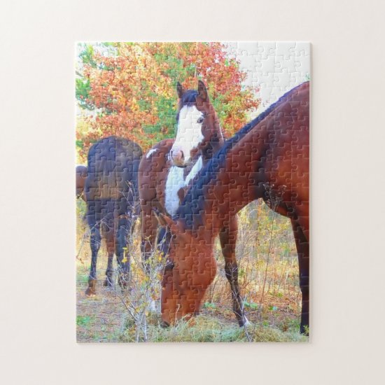 Beautiful Horse Puzzle with Gift Box