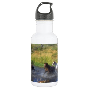 Beautiful Horse Ranch Destiny Nature Water Bottle