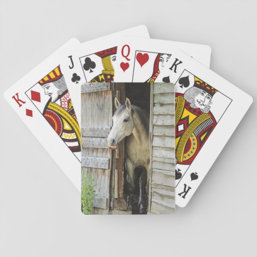 Beautiful Horse Rustic Farm Scene Poker Cards