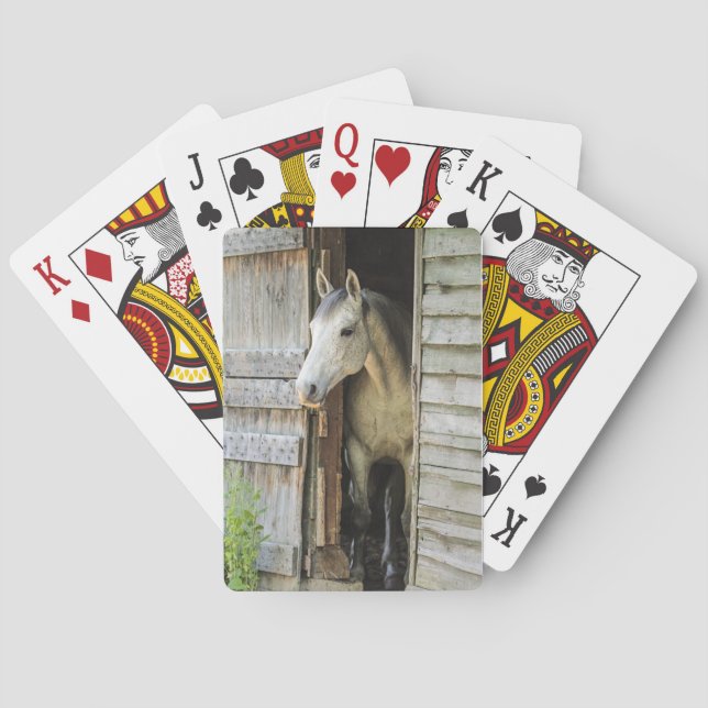 Beautiful Horse Rustic Farm Scene Poker Cards (Back)