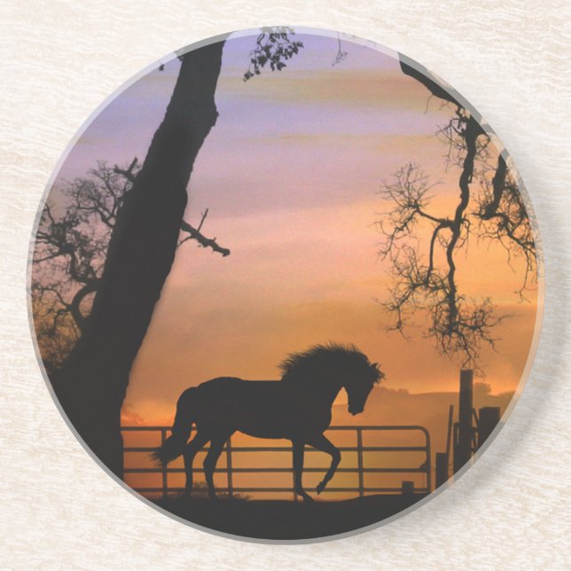Beautiful Horse Sandstone Coasters (Front)