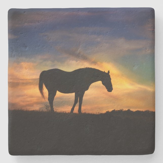 Beautiful Horse Stone Coaster (Front)