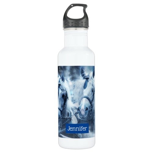 Beautiful Horse Team Winter Driving Photo Stainless Steel Water Bottle